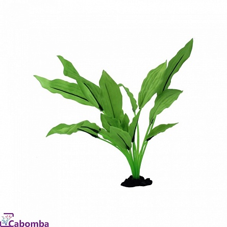 PRIME растение шелковое Эхинодорус Селовианус 30 см на фото
