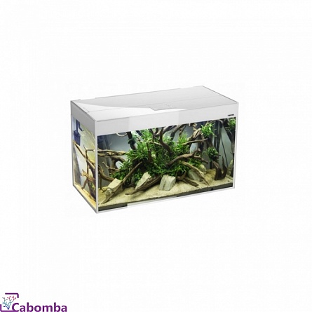 Прямоугольный аквариум с LED GLOSSY 120 фирмы Aquael (120х40х63 см/белый/260 литров)   на фото