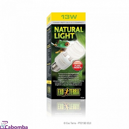 Лампа Repti Glo 2.0 Compact 13Вт NATURAL LIGHT на фото